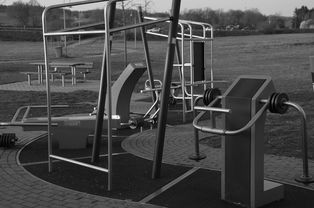 华体会在线下载-高校运动训练动态管理机制研究,运动训练过程调控与参赛指导 第5张 华体会在线下载-高校运动训练动态管理机制研究,运动训练过程调控与参赛指导 第5张