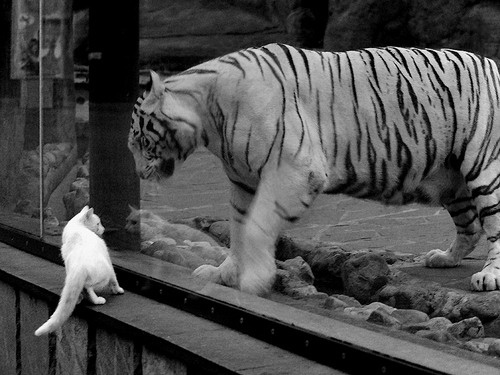 华体会官网-双前腰回撤提供更多出球角度，双前腰实况