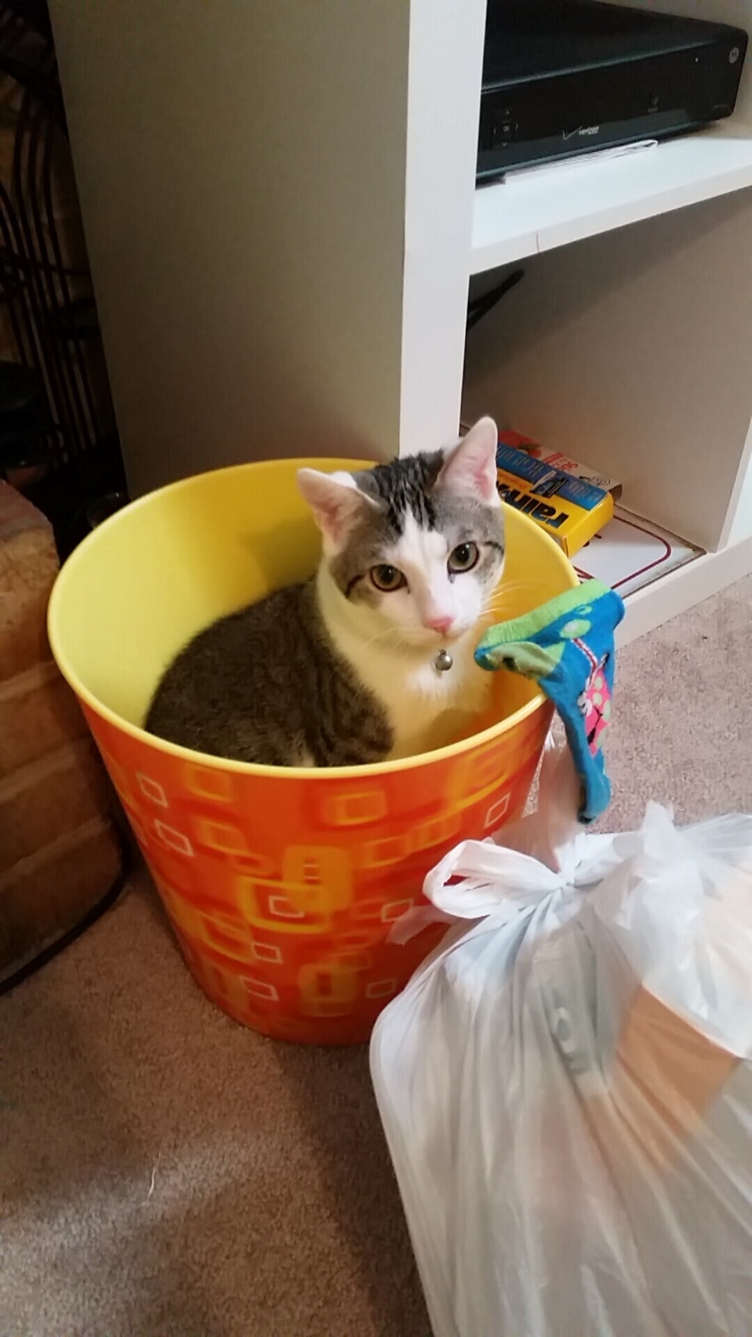 华体会官方网站-边路球员是否具备中场组织能力成为新趋势，边路足球是什么意思