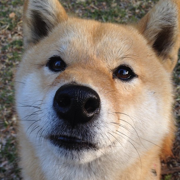 华体会登录入口-浓眉内外开花成为湖人前三节得分核心，浓眉受伤后湖人至今战绩