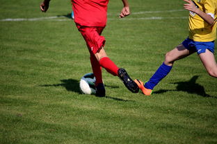 华体会平台-特色足球文化在国际博览会中亮相，展示国家软实力，世界足球文化