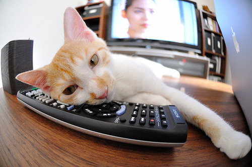 -球队科技赞助商公布新训练设备合作方案，技术型球队