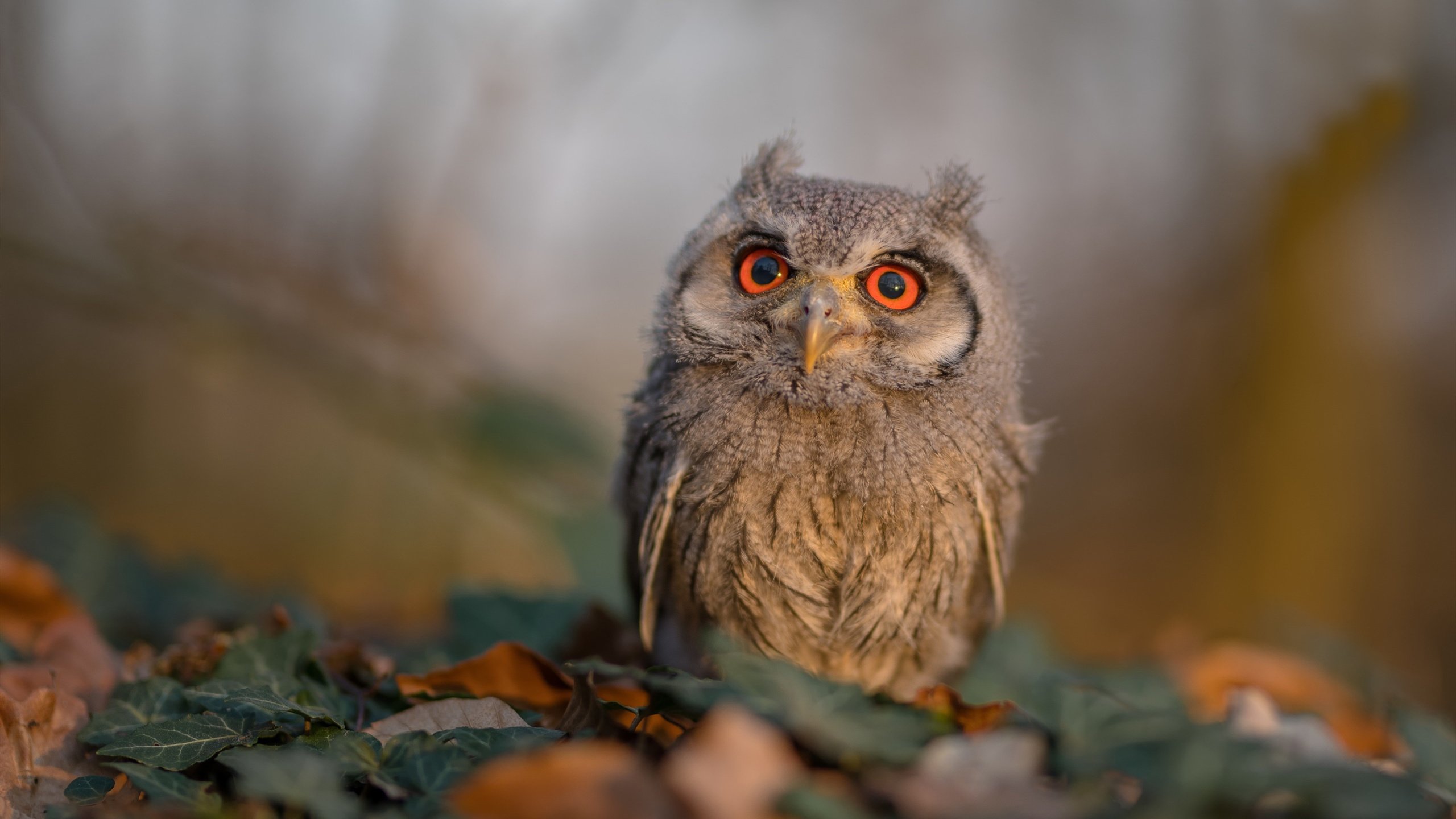 华体会登陆-职业联赛加强球员体能监控确保竞技状态稳定，球员体能训练