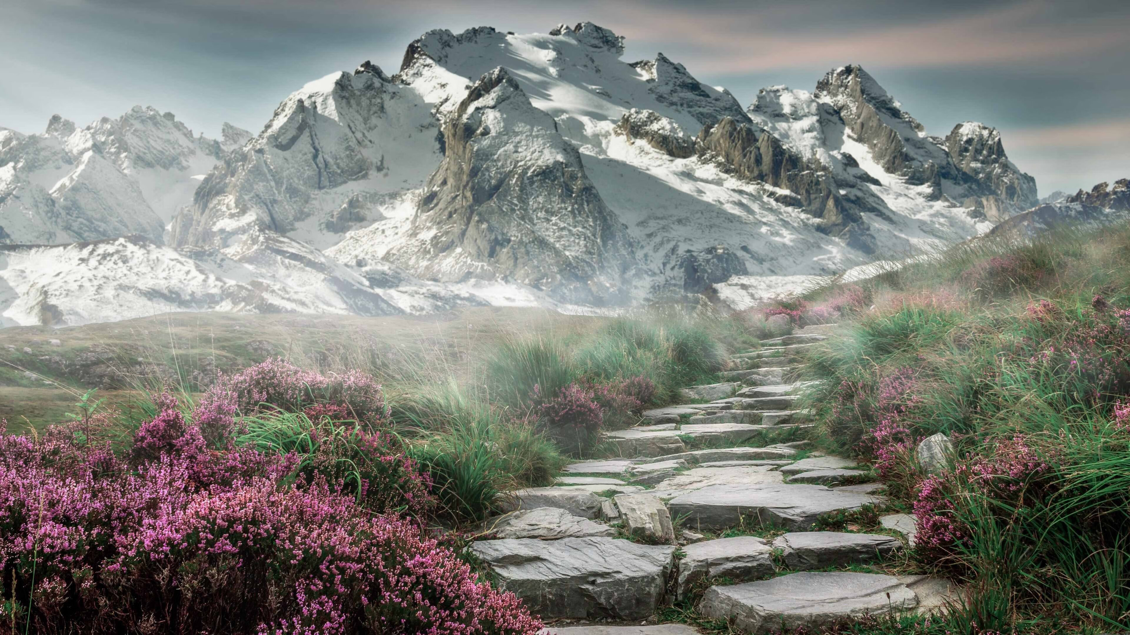 华体会app安装-足协发布中长期规划提出构建完整竞训体系，足协2021竞赛规则