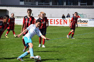 华体会网站-中国足球青年训练营国际标准合作路径探析，国家足球青训