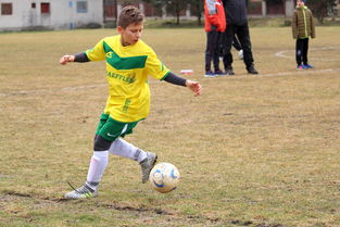 华体会app注册-五大联赛训练负荷与伤病关系研究受关注，比赛时期训练负荷安排的主要特点是